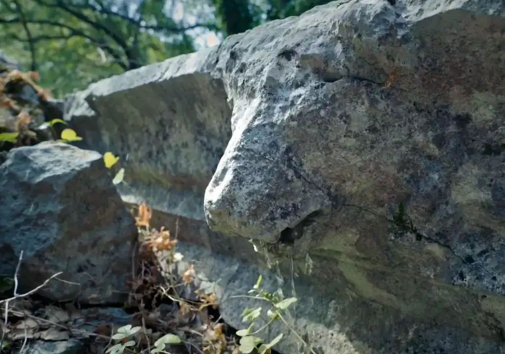 Büyük İskender’in Aşamadığı Termessos’ta 2 Bin Yıllık Çörteni Kırdılar 6
